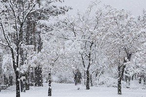 韩首都圈和江原普降大雪