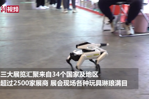 蜜蜡画笔、可降解发声小猪......香港玩具展展商紧跟环保创新潮流