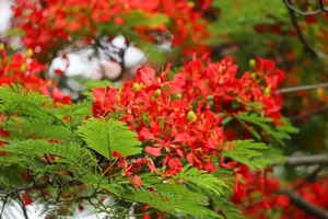 （示意图：互联网）