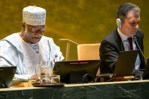 联合国大会第79届会议主席菲勒蒙·扬14日阐明了本届联大在2025年的工作优先事项。（图：联合国）