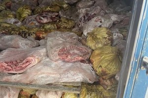 职能力量检查一冷藏集装箱时发现大量来源不明的猪肉。（图：越通社）
