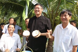 魏华祥总领事在茶荣省考察并品尝蜡椰。