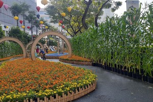 富美兴春花会今晚开幕