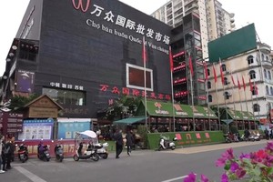 相约中越边境线，绘就跨境生活新图景