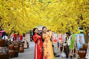 全国各地备足文旅“年货” 共迎新春佳节