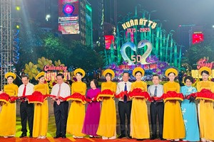 2025乙巳年阮惠花街开幕