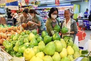 消费者在超市选购柚子。（示意图：VnE）