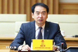 中国驻越南大使何炜。（图：越通社）