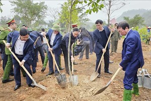 富寿省领导在雄王庙历史遗迹区参加春节植树。（图：越通社）