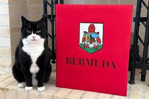 英外交部前“首席捕鼠官”重出江湖