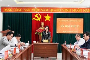 岘港市委常务委员、岘港市委检委会主任黎氏美幸同志主持会议。