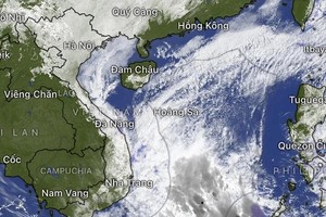 2月10日早上出现东风带扰动，可能对我国中部南面沿海地区及林同省东面造成逆季雨。（图：卫星图像）