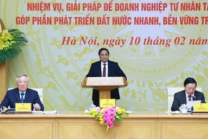 政府常务处与龙头企业共商发展措施