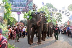 图为第八次邦美蜀咖啡盛会活动一隅。（图：NLD）