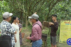 游客参观前江省美萩市泰山乡生态旅游区。（图：tiengiang.gov.vn）