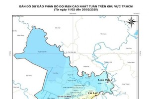 胡志明市海水入侵预报图。（图：南部区域气象水文台）