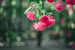 （示意图：互联网）