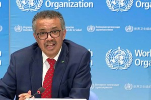 世界卫生组织总干事谭德塞。（图：WHO）
