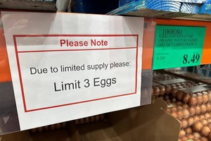 土向美出口1.5万吨鸡蛋