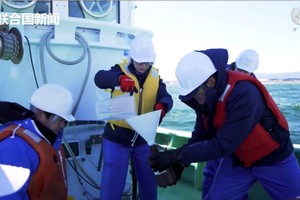 国际原子能机构率国际专家在福岛第一核电站附近海域采集海水样本。（图：联合国视频截图）