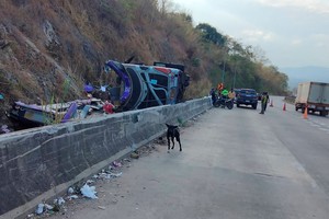 泰国一大巴在行驶过程中侧翻，造成17人死亡。（图：路透社）