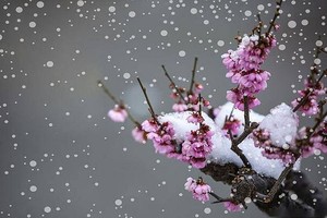 （示意图：互联网）