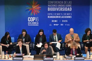 COP16 主席兼哥伦比亚环境部长 Susana Muhamad 于2月25日在罗马启动谈判。（图：AFP） 