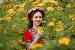 （示意图：互联网）