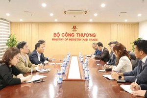 推动隆安省液化天然气发电厂项目