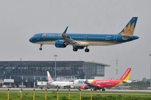 （示意图：Collected）