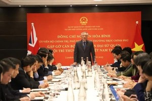 政府常务副总理阮和平会见旅英及爱尔兰越南知识份子协会代表。（图：越通社）