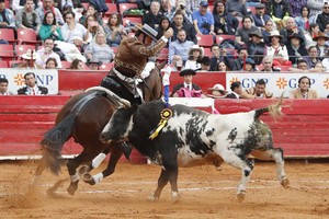 图为 2月23日，墨西哥城，斗牛士与重达483公斤的公牛对抗。（图：互联网）