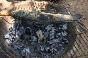 （示意图：互联网）