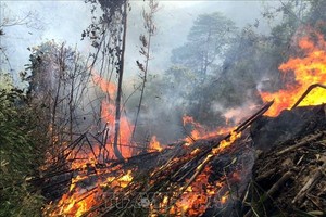 近500人齐心协力扑灭严山山火