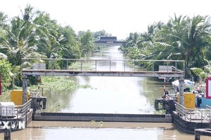 海水入侵防治系统有助于最大限度地减少干旱和海水入侵的影响。（图：越通社）