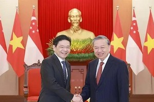 党中央总书记苏林会见新加坡总理黄循财