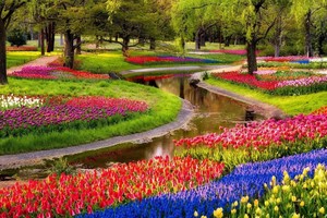 （示意图：互联网）