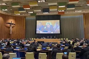 越南常驻联合国代表团团长邓黄江大使在会上发言。（图：越通社）