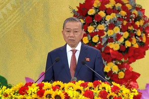 岘港须有效开发特殊机制与政策