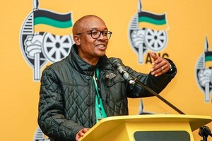 南非贸易、工业和竞争部长帕克斯‧陶。（图：互联网）