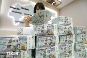 美国新关税决策后越南国内市场美元价格上涨。（图：越通社）