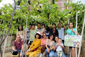 宁顺省葡萄园生态旅游线路吸引众多游客前来观光打卡。（图：越通社）