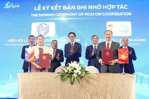 东盟-岘港促进经贸投资旅游合作