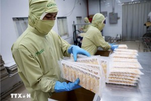 国家银行推出农林水产100万亿元信贷计划