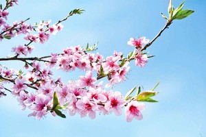 （示意图：互联网）