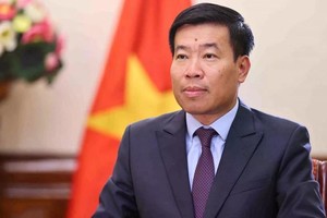 越南外交部副部长阮孟强。（图：越通社）