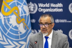 世界卫生组织总干事谭德塞。（图：WHO）