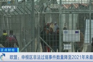 （图：CCTV 视频截图）