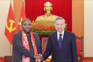 越南与莫三比克扩大多个领域合作