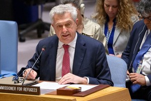 联合国难民事务高级专员格兰迪向安理会成员做通报。（图：联合国）